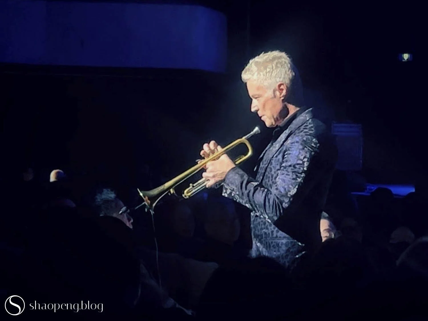Chris Botti performing on tour