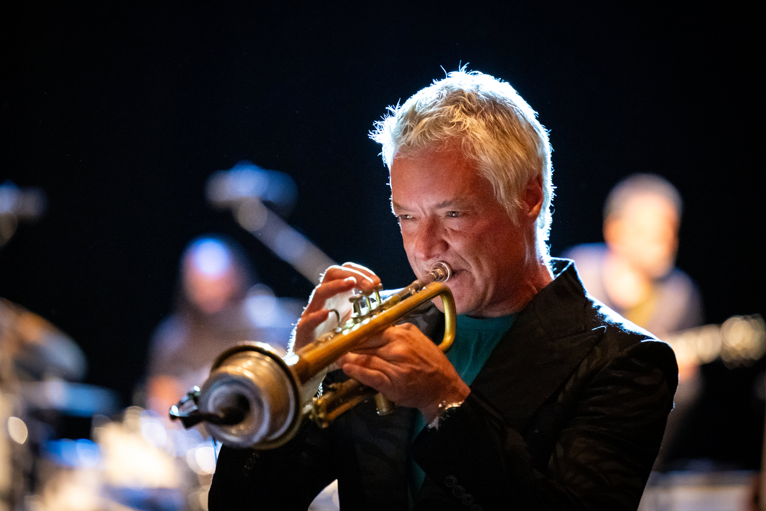 Chris Botti in concert